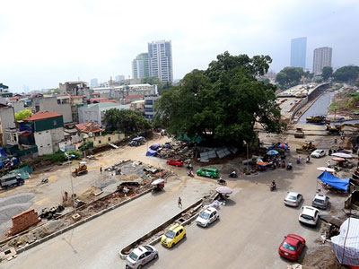 Đường hơn 6.000 tỷ đồng "né" cây đa cổ thụ