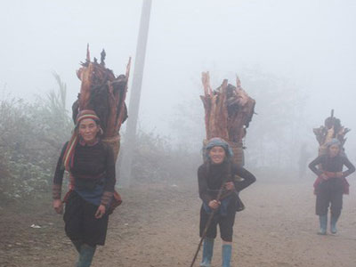 Sa Pa chuyển rét 14,3 độ C