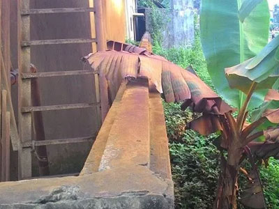 Hà Nội: Ở nơi nước máy chỉ để… rửa chân, tắm cho lợn