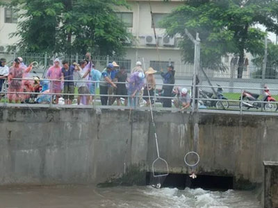 Đổ xô đi bắt cá sau mưa ngập ở Hà Nội