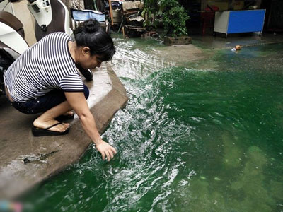 Giải mã nguyên nhân nước ngập chuyển màu xanh