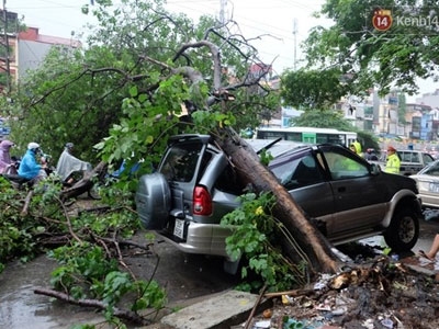 Ảnh bìa bài viết 318647