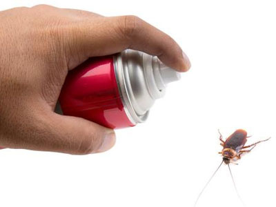 Thuốc xịt côn trùng làm tăng nguy cơ ung thư ở trẻ nhỏ