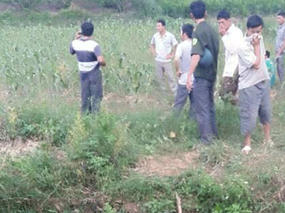Bàng hoàng phát hiện nhiều bộ phận thi thể người trên suối