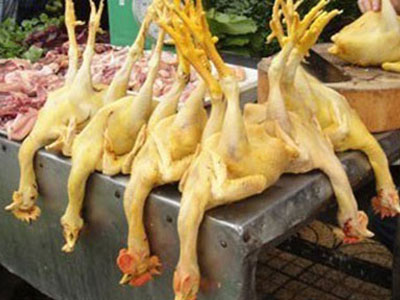Phát hiện thêm chất có thể gây ung thư dùng trong chăn nuôi