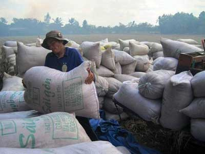 Việt Nam trúng thầu bán 1 triệu tấn gạo cho Indonesia