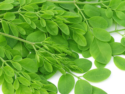 Sự thật "ngã ngửa" về chùm ngây - Loại rau được cho là thần dược