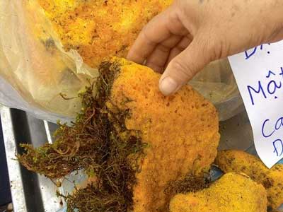 800.000 đồng/kg mật ong hóa đá bán tại Hà Nội