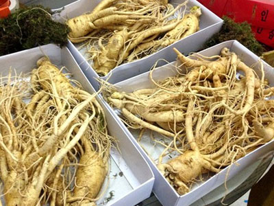 Nhân sâm Hàn Quốc giá siêu rẻ bán ở Sài Gòn