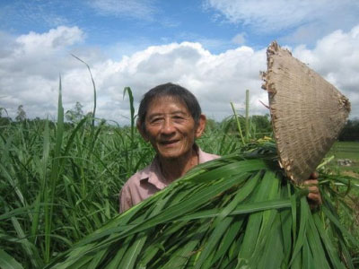 Anh hùng Hồ Giáo qua đời