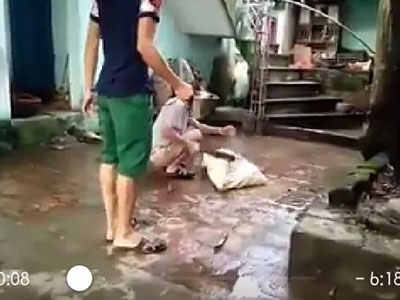 Cảnh giết chó trong bao tải gây phẫn nộ