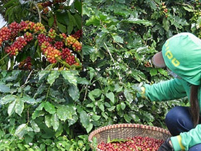 Ảnh bìa bài viết 323731
