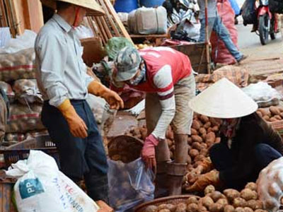 Khoai tây Trung Quốc không được vào chợ nông sản Đà Lạt