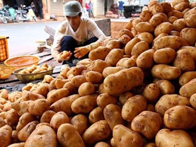 Dời lệnh cấm khoai tây Trung Quốc đến 1-11