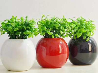 Cấm kỵ cần nhớ khi bày bình hoa trong phòng khách