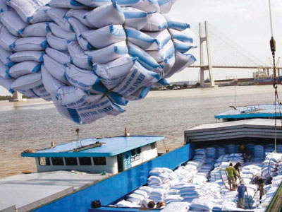 Ảnh bìa bài viết 324104