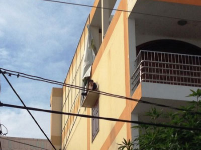 Ngáo đá quậy tưng trên tấm đan cửa sổ nhà trẻ cao 20m