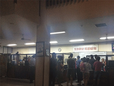 Thông tin chính thức vụ 52 học sinh ở Hà Nội bị ong đốt