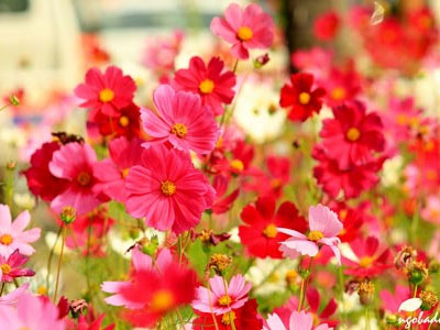 Vận may ngày thứ 6 (6/11)