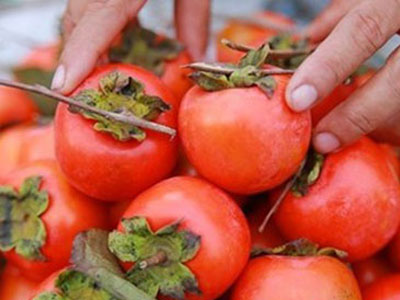 Ăn quả lắm nhựa, bé 5 tuổi "bụng cứng, nách to, ung thư hạch"?