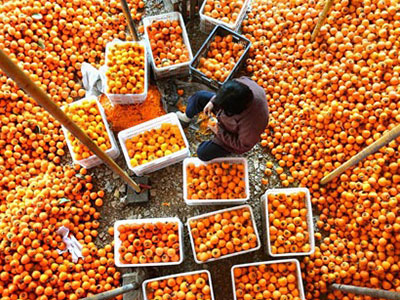 Xuất nhập khẩu Trung Quốc tiếp tục gây lo ngại