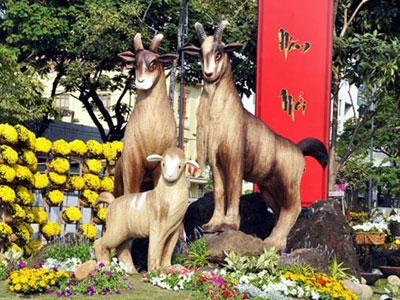 TP.HCM: Đường hoa Tết Bính Thân 2016 kéo dài 9 ngày