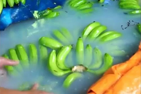 “Máy thử tội ác” và hội chứng trụ sở hoành tráng