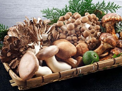 Những loại nấm bạn nên ăn vì cực tốt cho sức khỏe