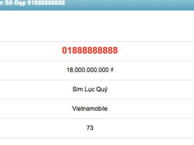 Rao bán sim 01888888888 giá 18 tỷ đồng