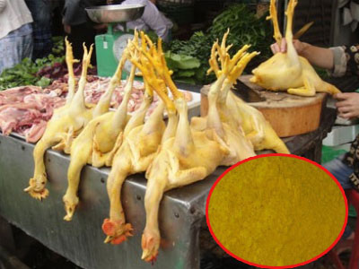 Kinh hoàng chất vàng O gây ung thư trộn thức ăn cho gà