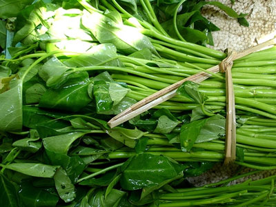 2 lạng thịt, 1 bó rau và bài học làm người từ cô giáo chủ nhiệm