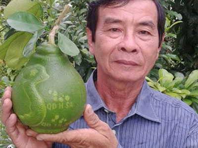 Bưởi tạo hình bản đồ Việt Nam tiền triệu được đặt hàng sớm