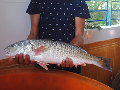 Ảnh bìa bài viết 330109