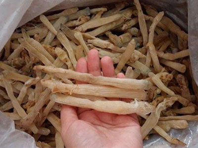 4 triệu đồng một kg sá sùng khô vẫn cháy hàng