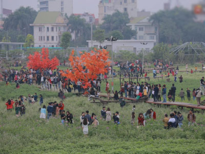 7.000 người kéo đến, thung lũng hoa Hồ Tây tan hoang sau hơn 2 ngày miễn phí
