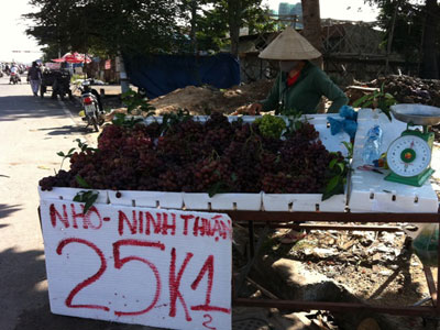 Sự thật về nho "siêu rẻ" bán giá bèo 25.000 đồng 1 kg