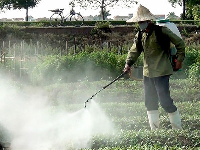 Người Việt bị "đầu độc" bằng thực phẩm bẩn như thế nào?