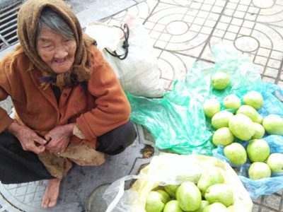 Sự thật đằng sau câu chuyện bà cụ 90 tuổi bán ổi giữa phố Hà Nội