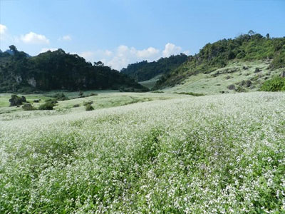 Mộc Châu - Trung tâm du lịch vùng Tây Bắc