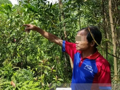 Bí mật kinh hoàng của người đàn bà bị "tế sống" ở Quảng Nam