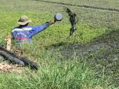 20 mẫu rau tưới nhớt tồn dư asen, đồng và kẽm