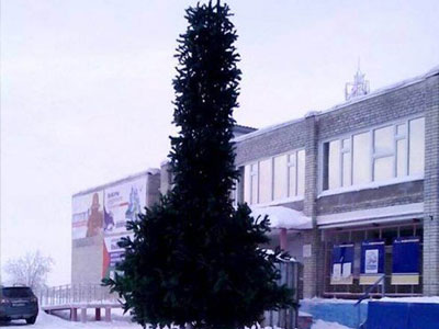 "Đỏ mặt" với cây thông Noel có hình nhạy cảm