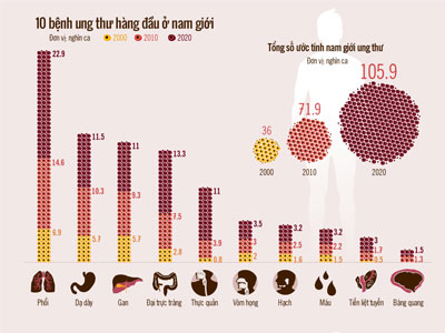 10 bệnh ung thư hàng đầu dễ mắc ở Việt Nam