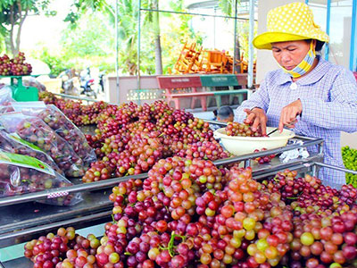 Gần Tết, đặc sản giá cao nở rộ ở Sài Gòn