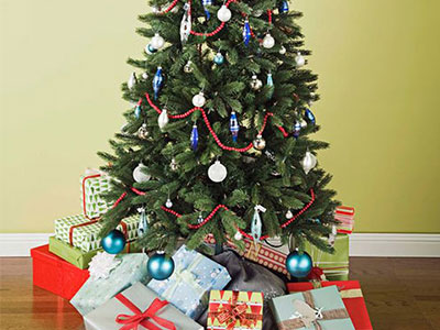Cây thông Noel "giết người": Phát hiện gây hoang mang tột độ