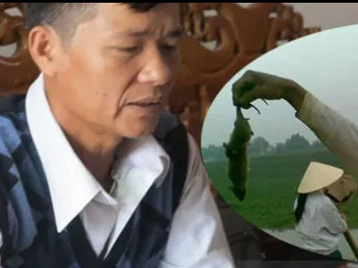 Người dân hoang mang vì chuột ăn thuốc cả tháng vẫn không chết