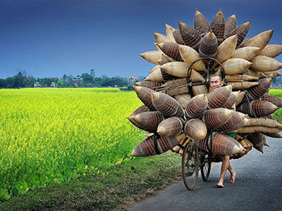 Ảnh lão nông Hưng Yên gây chú ý ở cuộc thi thế giới