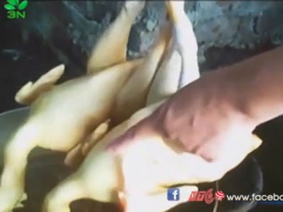 Clip: Kinh hãi hành trình đến những "mâm cơm bẩn" của người Việt