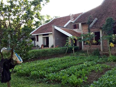 Sợ nhiễm độc, dân Hà thành thuê đất quê tự trồng rau