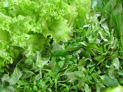 Ảnh bìa bài viết 335669